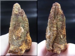 画像2: 柿野産緑水晶（ヘデンベルガイト/緑閃石入りインターフェレンス型） 24.6g