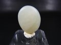 和田玉（ホータンぎょく）「羊脂白玉」オリジナルビーズ 約20×16×7.5mm