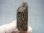 画像1: フィンランド・リプシニエミ産モリオン（黒水晶/ケアンゴーム） 50.6g (1)