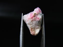 画像1: ツグツパイト（タグトゥパイト）原石 1.6g