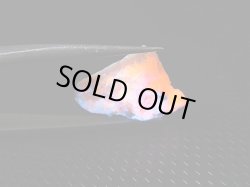 画像2: ツグツパイト（タグトゥパイト）原石 1.6g