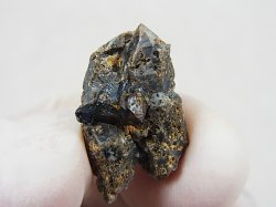 画像2: アーカンソー州産ブルッカイト（アーカンサイト）原石 3.6g