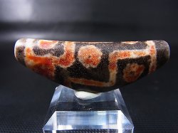 画像2: ヴィンテージ：「弓形赤九眼」西蔵（チベット）天珠 約54.5×21×11.5mm