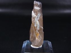 画像1: ベトナム・タインホア産アクアマリン付きスモーキー水晶 7.6g