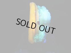 画像1: Hokkaidoite北海道然別湖産蛍光オパール原石 4.4g