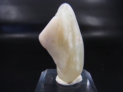 画像1: 和田玉（ホータンぎょく）「無漂白/無着色・白玉」原石 8.3g