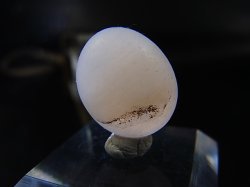 画像2: 和田玉（ホータンぎょく）「無漂白/無着色・白玉」原石 3.4g