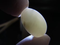 画像2: 和田玉（ホータンぎょく）「羊脂白玉」オリジナルビーズ 約19.5×12.5×9mm