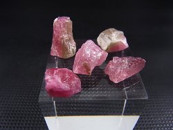 画像1: カリフォルニア産ピンクトルマリン原石（バイカラー） 5点セット トータル 26.8カラット
