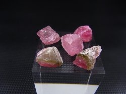 画像2: カリフォルニア産ピンクトルマリン原石（バイカラー） 5点セット トータル 26.8カラット