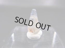 画像1: スリランカ産バイカラーサファイア原石（犬牙型） 1.4カラット