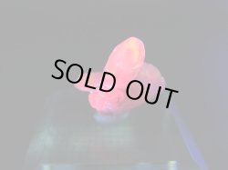 画像2: ベトナムLuc Yen産シルキーサファイア原石（犬牙型/連晶） 8.3カラット