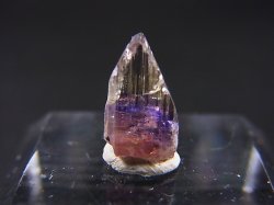 画像2: ジェムクオリティ：タンザナイト原石（バイカラー） 2.8カラット