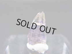 画像2: ジェムクオリティ：タンザナイト原石（バイカラー） 1.9カラット