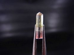 画像2: アフガニスタン産バイカラートルマリン柱状結晶（ライトグリーン/ライトピンク） 0.9カラット