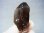 画像1: マラウイ・ムランジェ産クリアスモーキー水晶 22.0g (1)