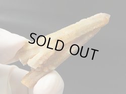 画像1: 南アフリカ産フェアリークオーツ（トリプル連晶） 11.8g