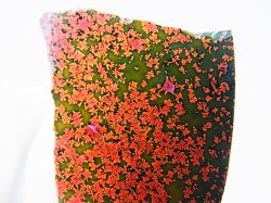 画像2: 飯盛ラボストーン（IL-stone）「レアカラー：ブラッドストーン（紅葉石）」ガラス原石 32.3カラット