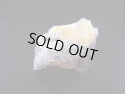 画像1: 北海道上藻別産イエローオパール原石 10.9g