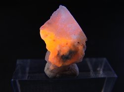 画像2: ツグツパイト（タグトゥパイト）原石 1.7g