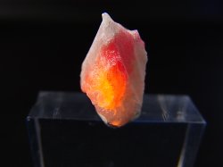 画像2: ツグツパイト（タグトゥパイト）原石 1.6g