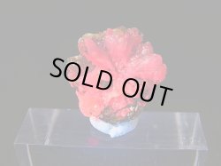 画像2: ベトナムLuc Yen産トラピチェ結晶原石（シルキーピンクサファイア） 7.9カラット