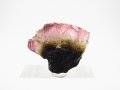 ベトナムMinh Tien産多色トルマリン（ウォーターメロン）結晶原石 25.8カラット