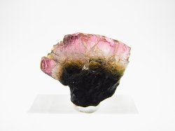画像1: ベトナムMinh Tien産多色トルマリン（ウォーターメロン）結晶原石 25.8カラット