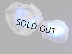 画像2: 栃木県産フローライト入り石灰岩ノジュール（2ピースセット） トータル 175.3g