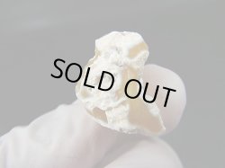 画像2: 北海道上藻別産イエローオパール原石 4.4g