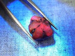 画像2: ベトナムLuc Yen産トラピチェ結晶原石（自然研磨サファイア） 3.6カラット