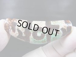 画像2: ヴィンテージ：「老緑色弓形(牛角)蓮師法器」西蔵（チベット）天珠 約56.5×20×12.5mm