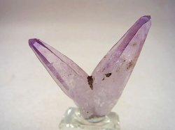 画像1: メキシコ・ベラクルス産アメジストポイント（ツイン） 11.6g