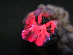 画像2: ベトナムLuc Yen産トラピチェ結晶原石（バイカラーサファイア/マトリクス） 144.3カラット