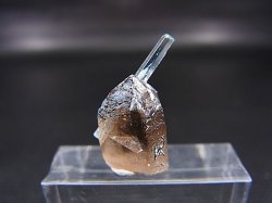 画像2: ベトナム・タインホア産アクアマリン付きスモーキー水晶 1.4g