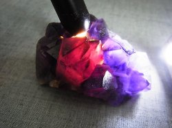 画像1: コンゴ産カラーシフト/ディープカラーアメジストクラスター 141.4g