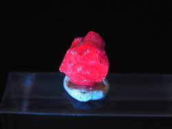 画像2: ベトナムLuc Yen産コバルトスピネル結晶原石（蛍光/カラーチェンジ） 2.6カラット