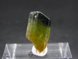 ベトナムMinh Tien産グリーントルマリン（バイカラー）結晶原石 6.0カラット