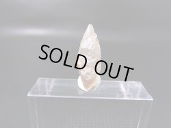 画像1: ミャンマー・モゴック産ホワイトサファイア原石（犬牙型ＤＴ） 4.1カラット