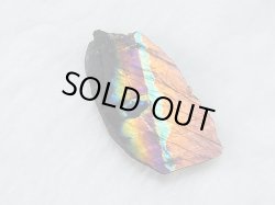 画像1: フィンランド・ユレマー産スペクトロライト（パープルヴィオラミックス）研磨スライス（片面研磨） 2.8g