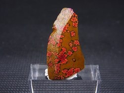 画像2: 飯盛ラボストーン（IL-stone）「レアカラー：ブラッドストーン（紅葉石）」ガラス原石 14.2カラット