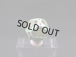 画像1: ヴィンテージ：「雪域天珠：老緑色亀甲」西蔵（チベット）天珠 直径約15×13mm