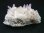 画像1: 栃木県富井鉱山産紫水晶(アメジスト)クラスター 49.1g (1)