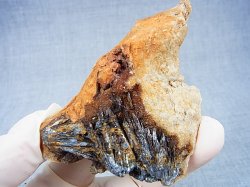 画像1: 群馬県下仁田産スティブナイト原石 77.0g