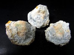 画像1: 栃木県産フローライト入り石灰岩ノジュール（3ピースセット） トータル 70.0g