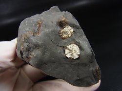 画像1: 群馬県産桜石（アイオライト仮晶）原石 129.1g