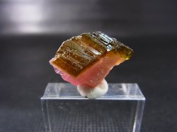 画像2: ベトナムBac Kan産バイカラートルマリン原石 18.9カラット