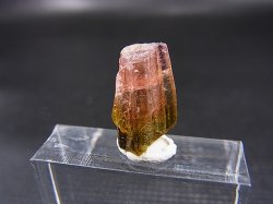 画像1: ベトナムBac Kan産バイカラートルマリン原石 4.9カラット