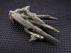 画像2: ガネーシュヒマール・ラスワ産ニードルソリューション水晶 4.3g