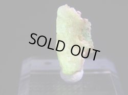 画像1: Hokkaidoite北海道然別湖産蛍光オパール原石 1.6g